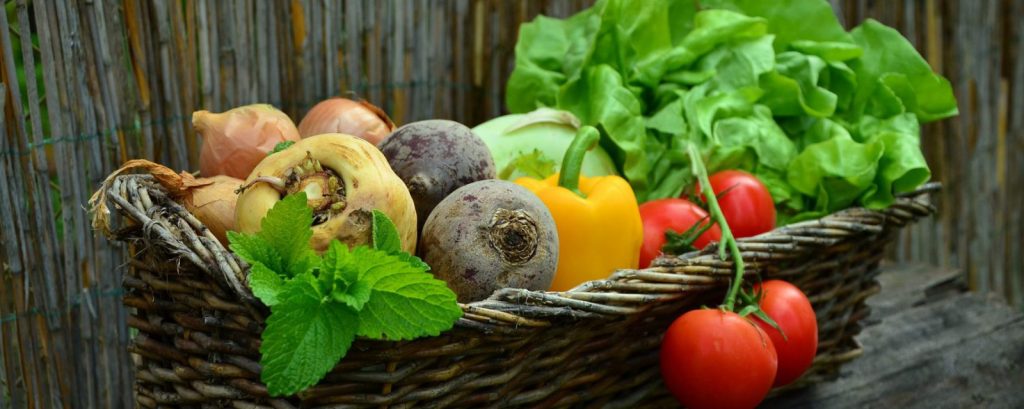 “Let Food Be Thy Medicine, and Medicine Be Thy&nbsp;Food”